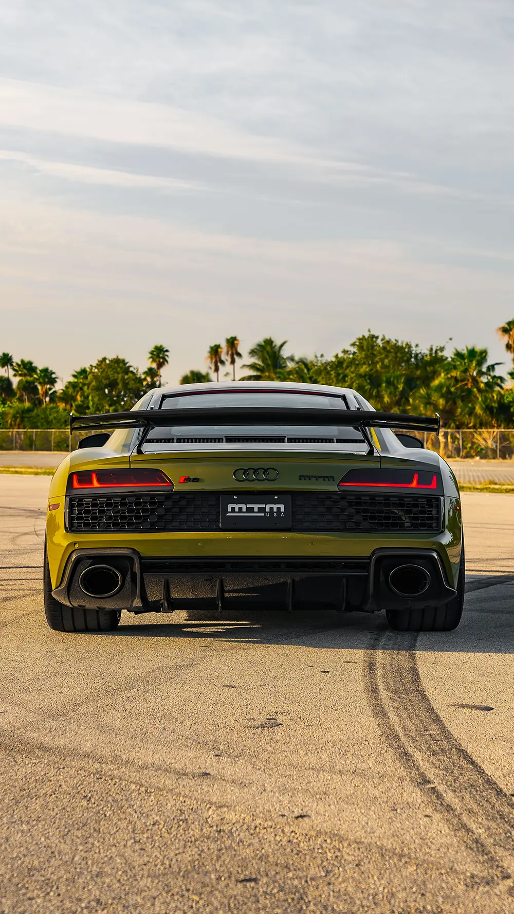 Automotive Passion R8 Dtm Style Wing 1