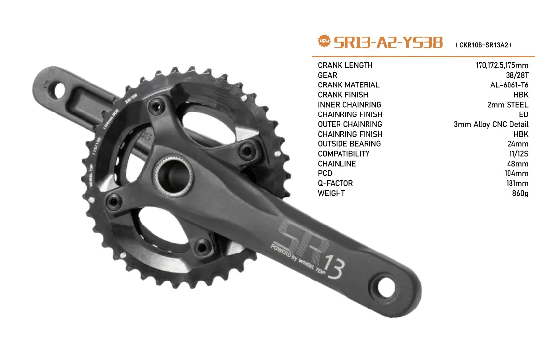 Sri3-A2-Y538 (Ckr10b-Sr13a2) 1