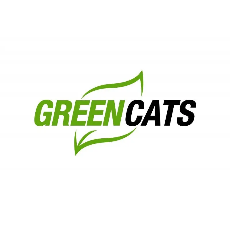 Kooks 2015+ Dodge Challenger/Charger Hellcat 2In X 3In Ss Headers W/Green Catted Oem Connection Pipe 2