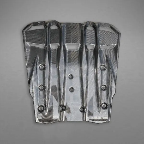 Capristo Porsche 991.2 Gt3rs - Carbon Fiber Engine Cover/Diffuser 1