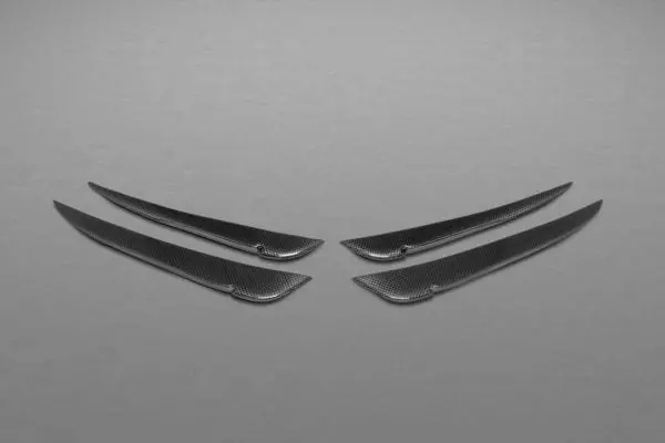 Capristo Ferrari 458 Speciale - Carbon Front Fins (Matte) 1