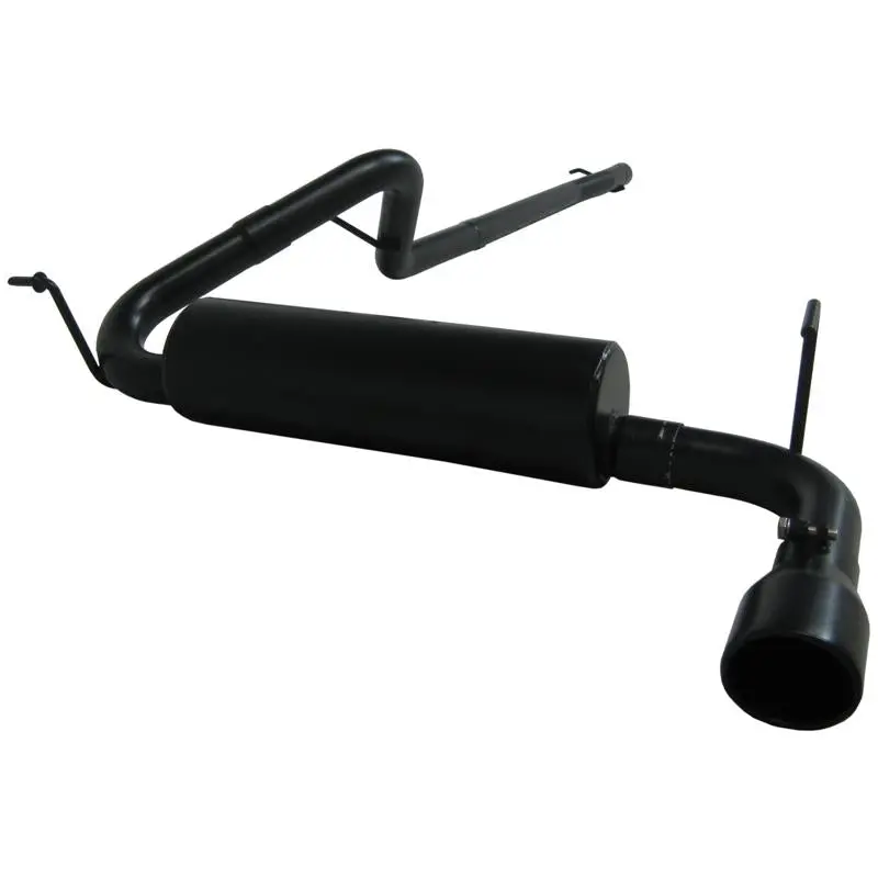 Mbrp 15-19 Ford Mustang Ecoboost 2.3L Black 3In Cat Back Dual Split Rear Exit (Race Version) 2