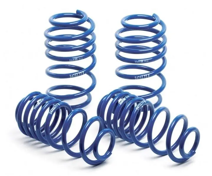H&R 79-93 Ford Mustang V8 Super Sport Spring 1