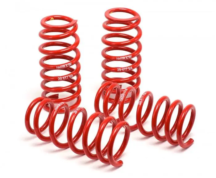 H&R 99-04 Ford Mustang Cobra V8 Race Spring 1