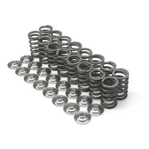 Brian Crower Honda D16y8/D16z6 Single Valve Spring 1