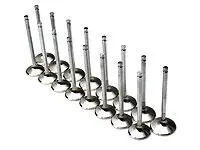 Brian Crower Honda D16y8/D16z6 26Mm Exhaust Valves 1